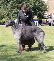 GREYFRIARS GHILLE AT BEARDSWOOD